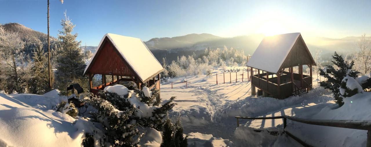 Карпатський Затишок Hotel Slavske Bagian luar foto